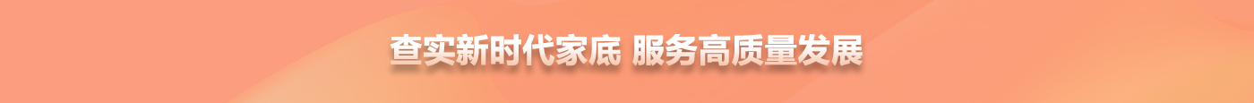 经济普查横条3